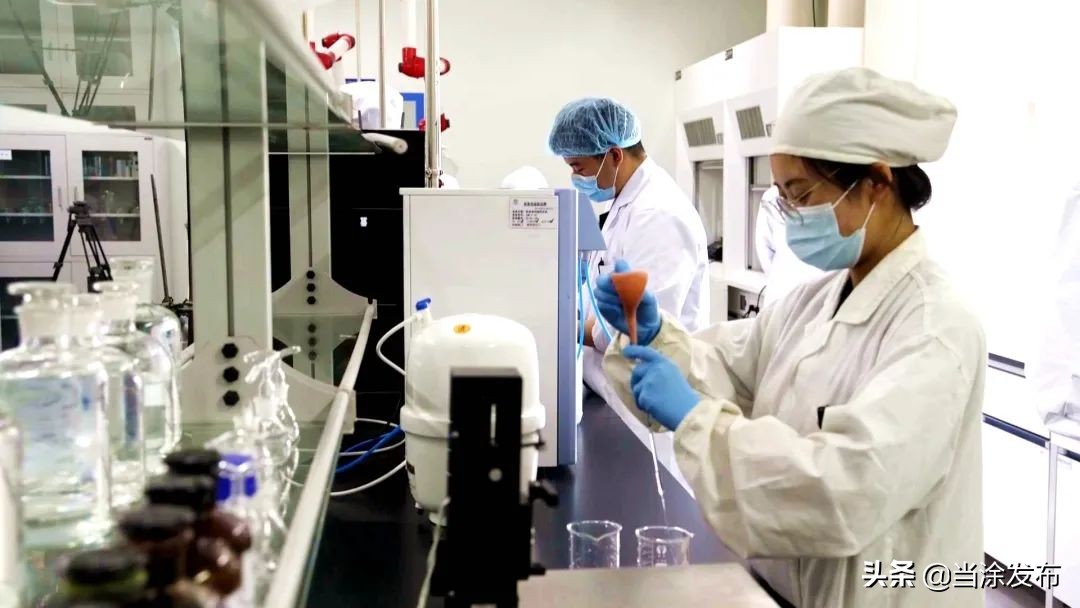 安徽当涂：多方发力 促进高校毕业生“稳就业”