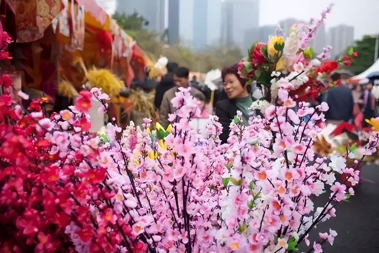 从化室内花卉哪些种类（年货推介第一弹！广东花市强势回归，哪朵花是你的最爱？（附各地市购花攻略））