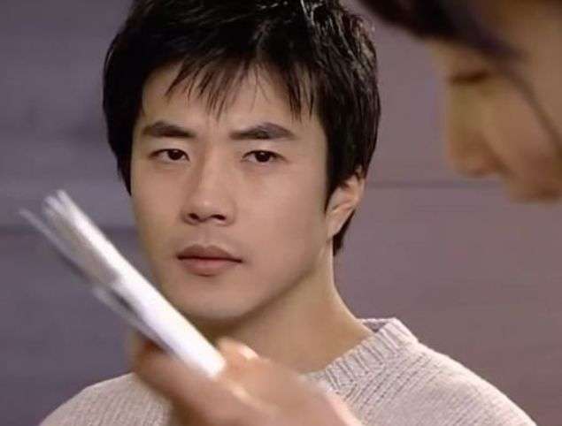 电视剧爱的阶梯图片(重温《天国的阶梯》,发现车诚俊的帅,需要"俗物"