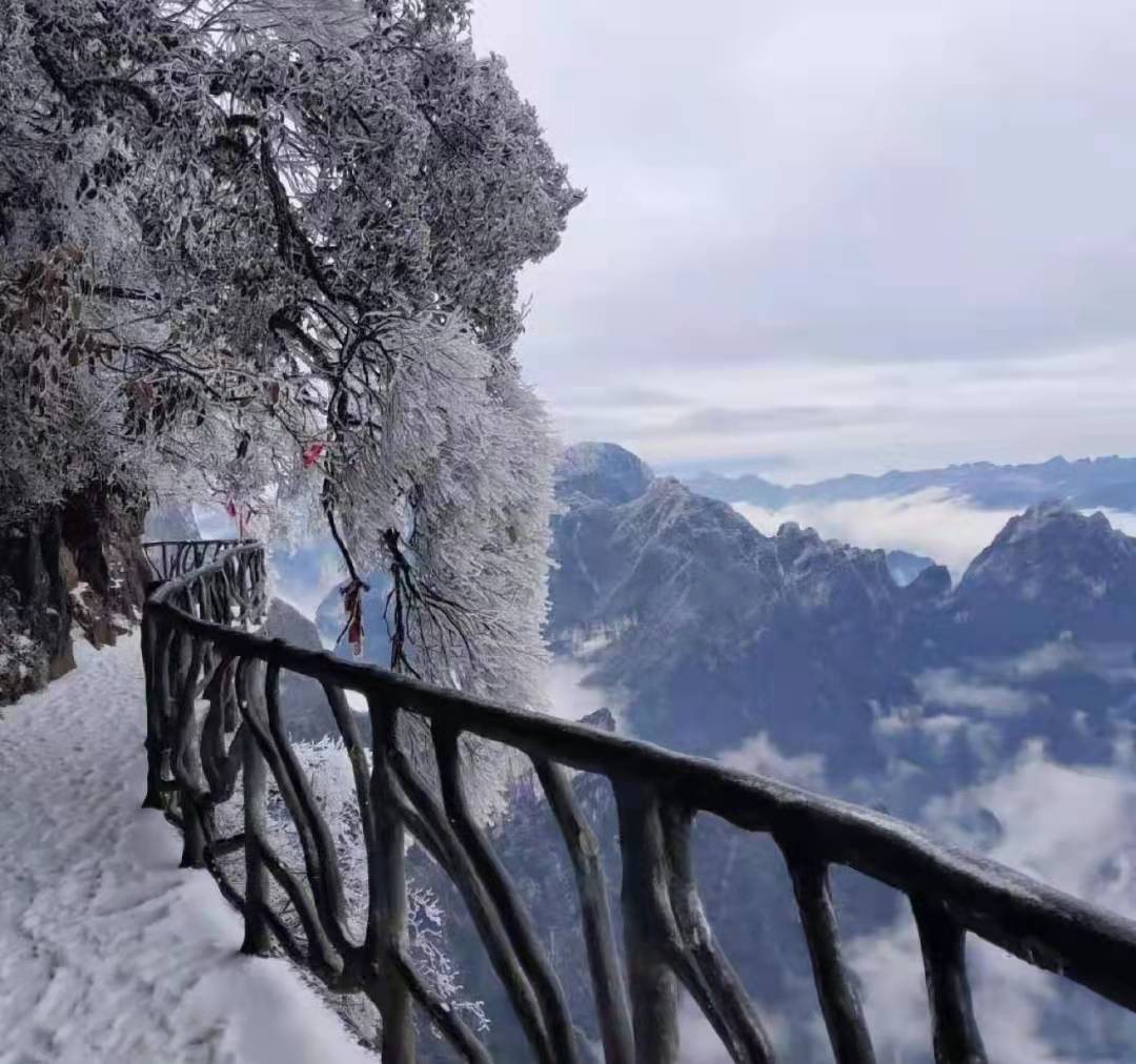 张家界冬季旅游攻略,体验不一样的家庭结伴游