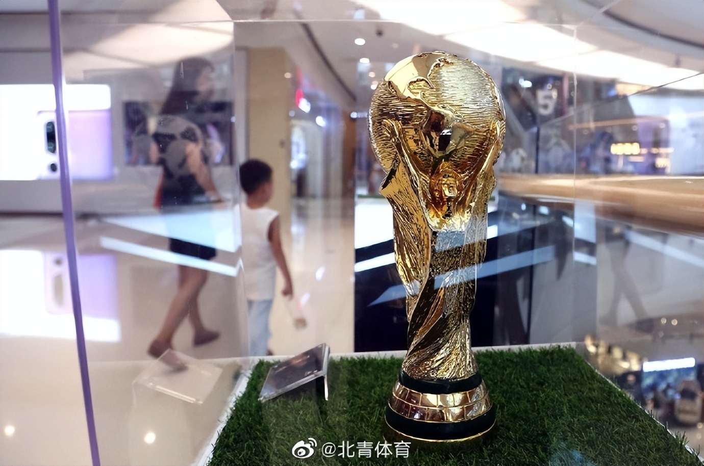 中国世界杯进展(体育要闻｜曝中国申办2030世界杯)