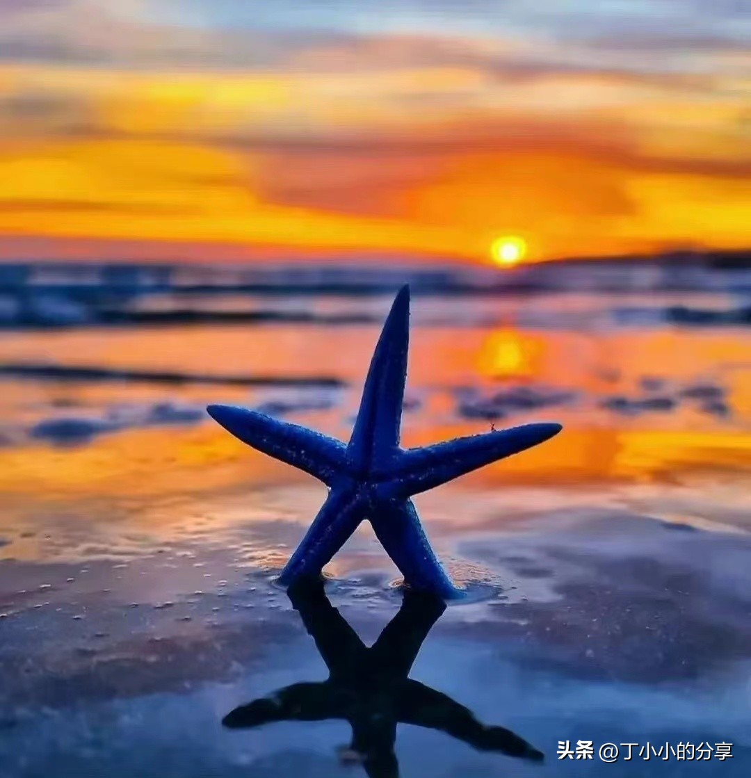 夫妻不能相互理解的句子「夫妻相互理解的唯美句子 」_爱阅读