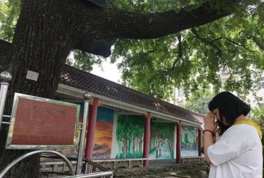 “高考工厂”毛坦厂万象：有人开保时捷来租房陪读，神树祭拜被禁