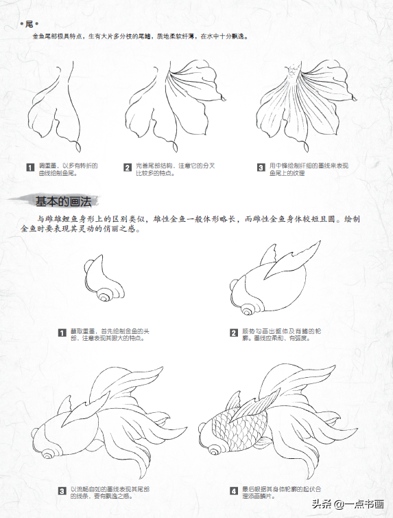 怎么画桃树一步一步图片