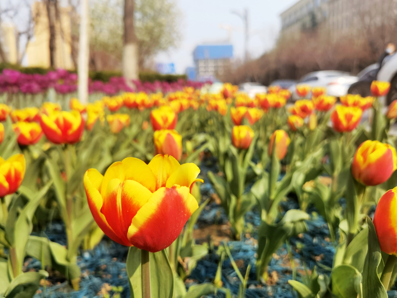 �������� | ��������·������������