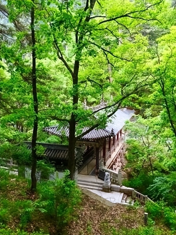 长治旅游必去十大景点（长治旅游景点有哪些景点推荐）-第24张图片-科灵网