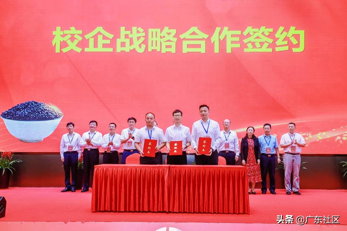“黑米主食化”大湾区新闻发布会暨产学研合作签约仪式顺利举办
