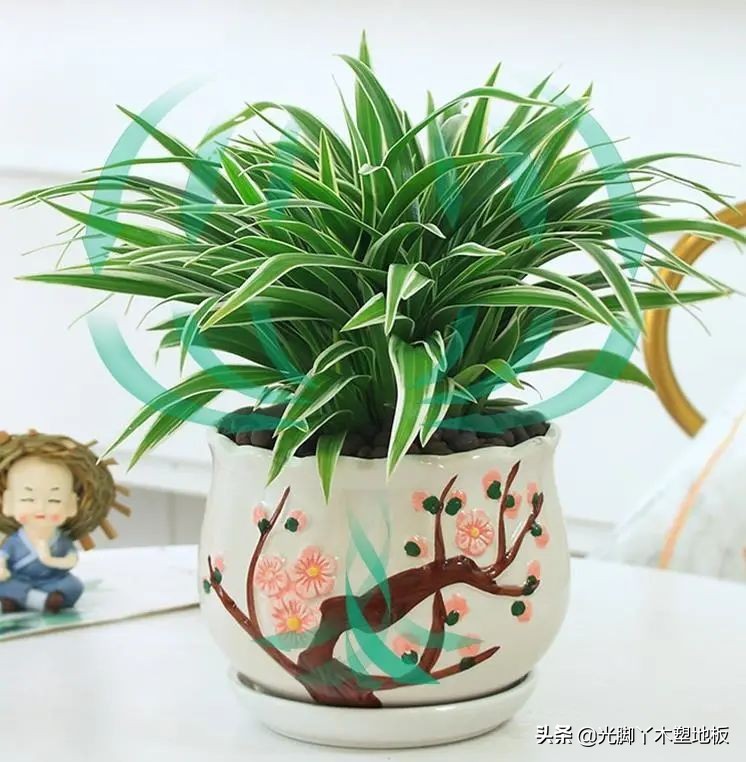 花5000块，把14㎡阳台变成一个小花园，小小的改变感受大大的幸福