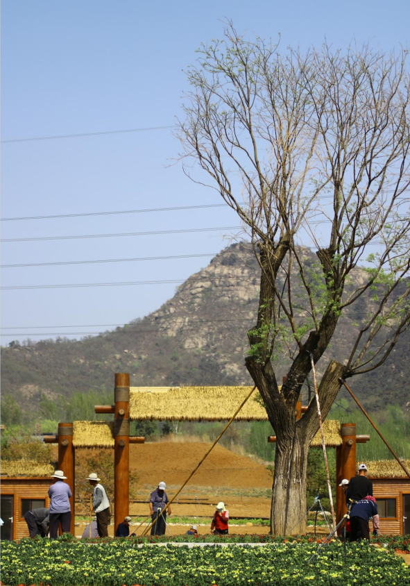 初夏未夏，抓住春天的尾巴~