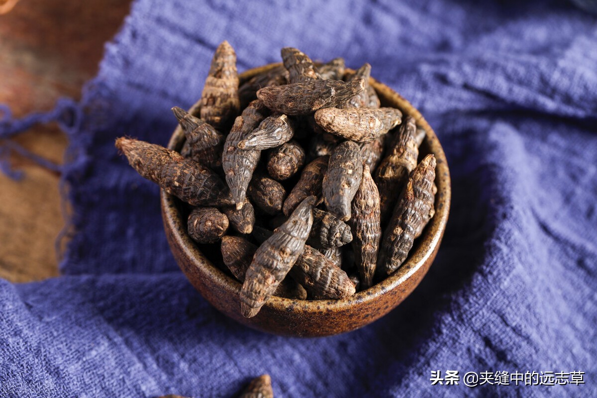 冠心病、高脂血症，多因淤血停，送你味中，血管的清道夫