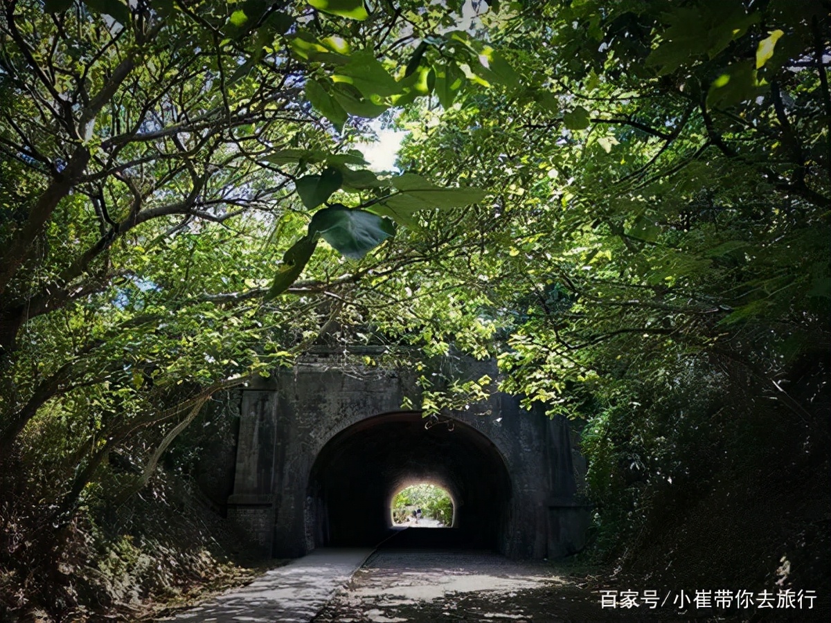 徐州“最出名”的隧道是哪里？为什么说夏天进去了就不想出来了？
