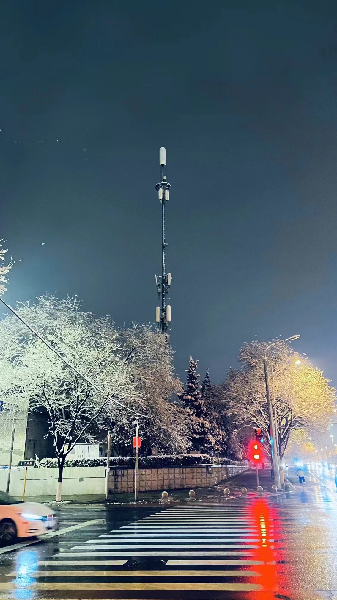专属于春雪的浪漫，当三月的北京遇见飘雪，有种转瞬即逝的美