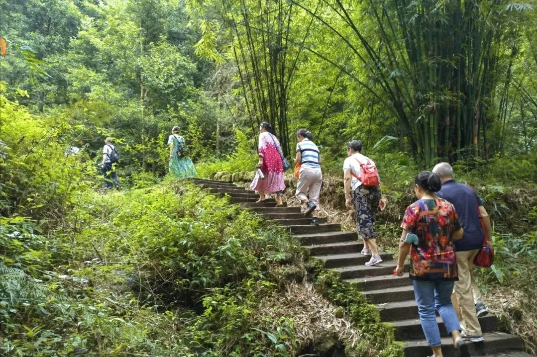 成都周边山区旅游(1.5h就到！去这个小众地爬山吸氧、看山间石刻佛像、吃生态美食)