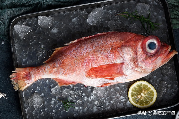 这十种食物富含优质蛋白（优质蛋白质食物排行榜，牛奶都排不上号，鸡蛋垫底，建议了解）