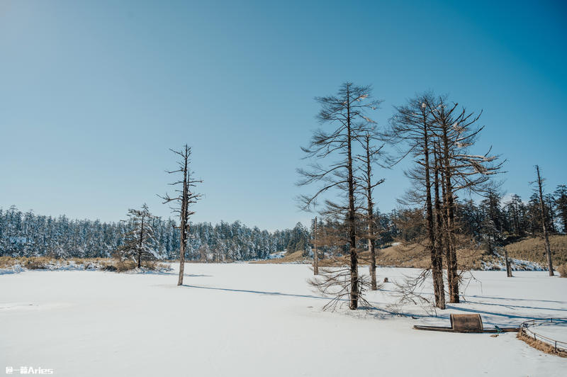 成都周边游 | 川西的雪国秘境，我与瓦屋山的纯白约定