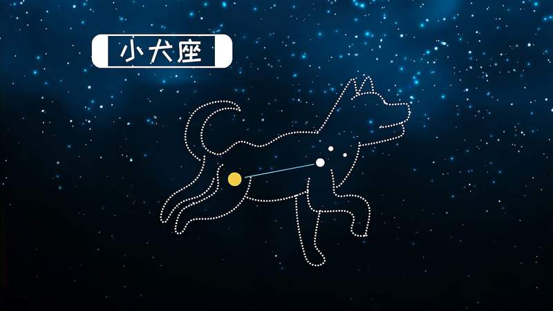 星座猎战的胜利者——天猫座