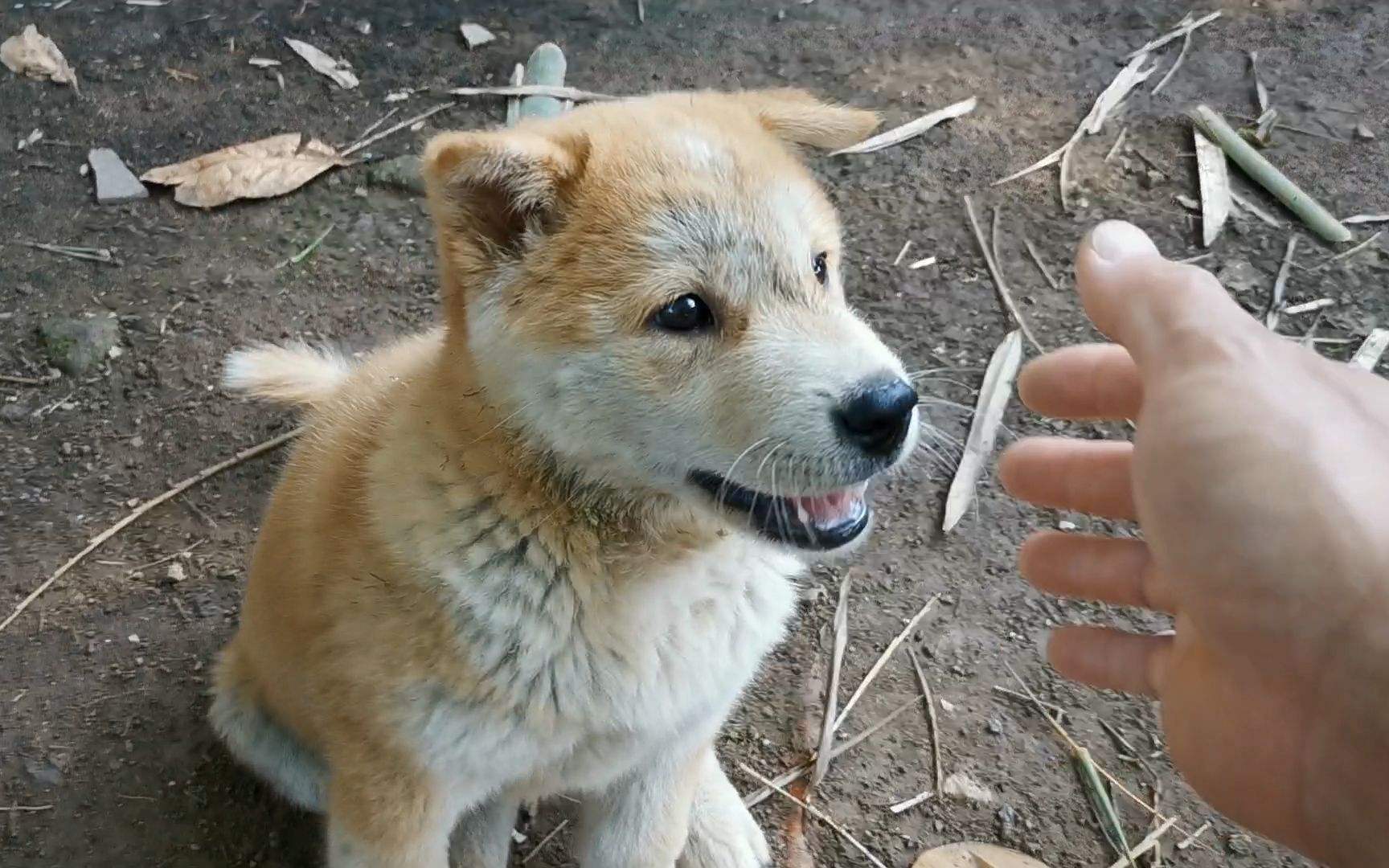 ŮһëԢ⣨ŮһëԢң-Ȼ