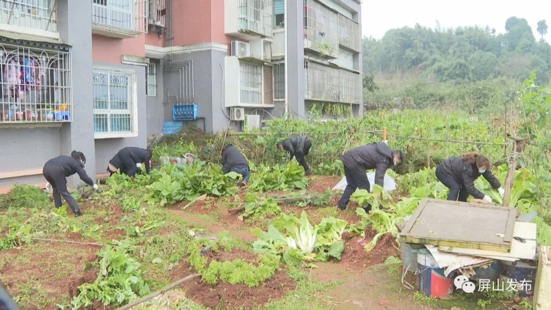 屏山小区