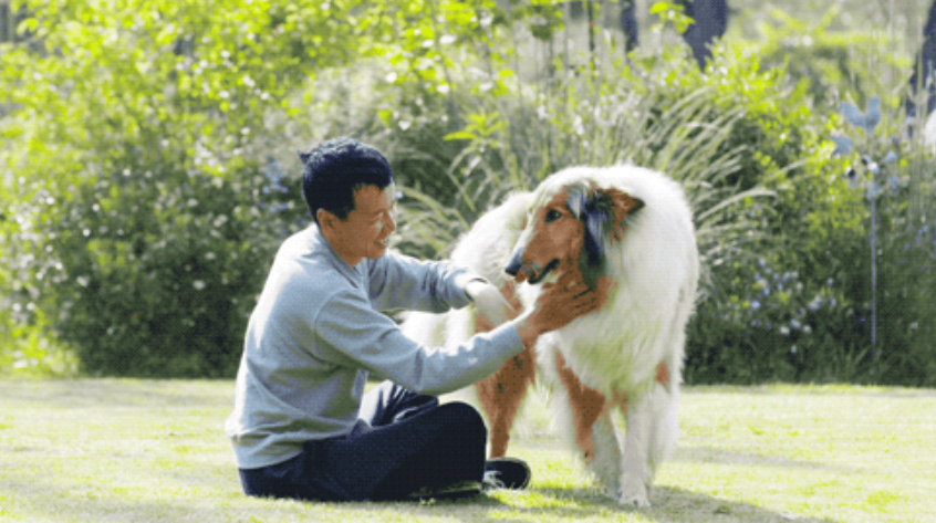 腾讯“元老”魏震：赚够钱后辞职，携妻儿退隐山林，每日喝茶种地