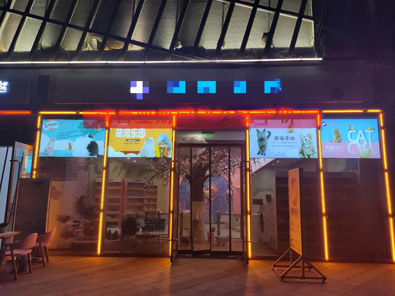 开猫咖真的容易倒闭吗？前月利润1w以上的猫咖合伙人现身说法