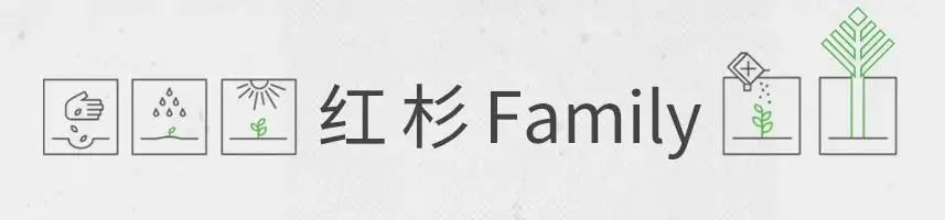 神策数据桑文锋：追求卓越，拒绝平凡 | 红杉Family