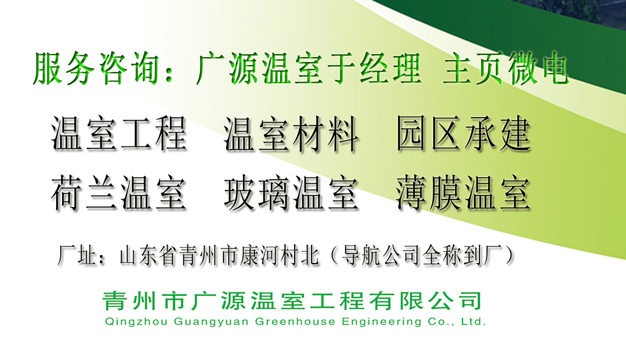 分享南疆地区经济实用的大棚沙培番茄种植技术