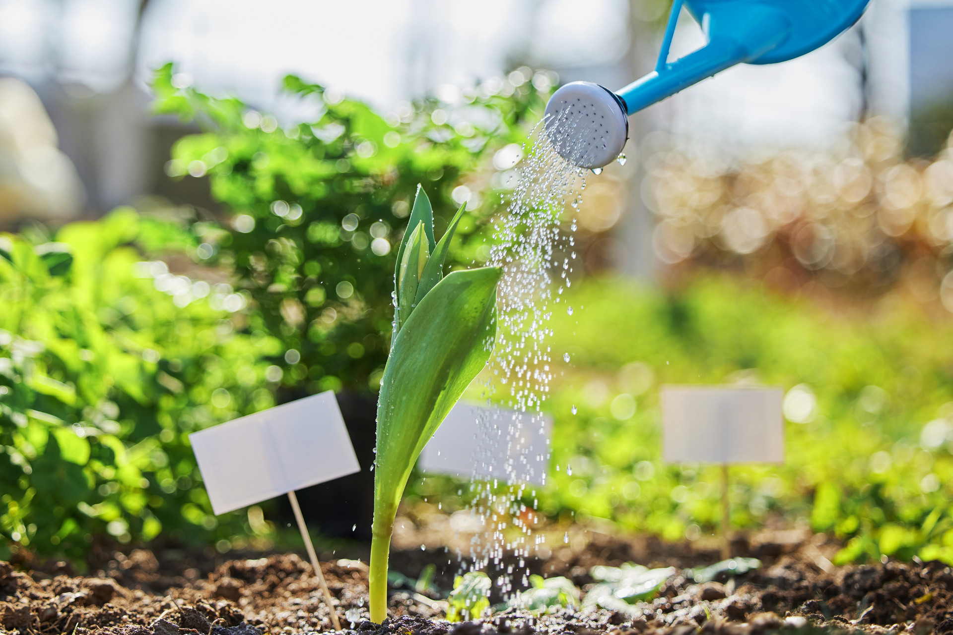 计算机类专业五兄弟，有的考研强，有的赚钱多