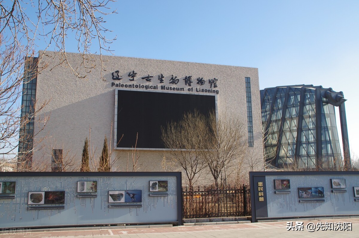 沈阳的好大学这么多，你还要往哪跑呢？