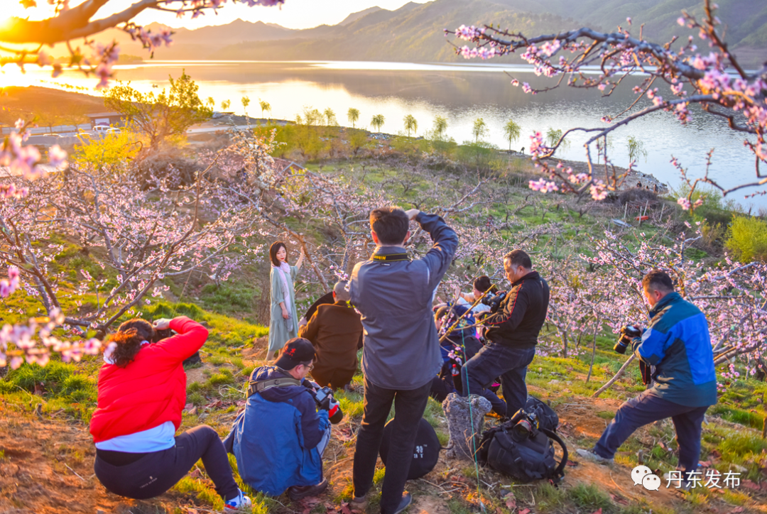 丹东这一地儿入选全国十大赏樱地！赏花攻略提前收藏