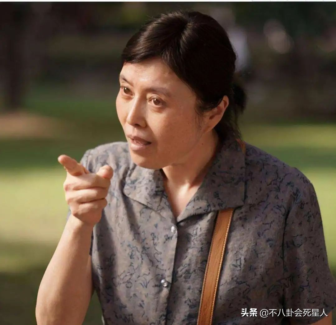 柏寒演的电视剧(给"恶婆婆"演得最好的10位演员排名:许娣第5,李明启占