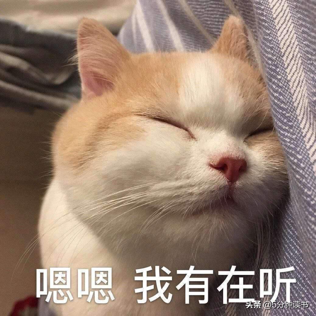 如何寫读书心得？