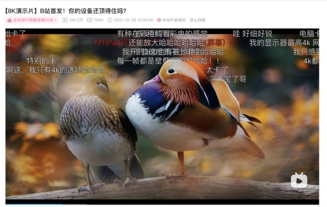 迈进3亿MAU的B站，拿什么扭亏？