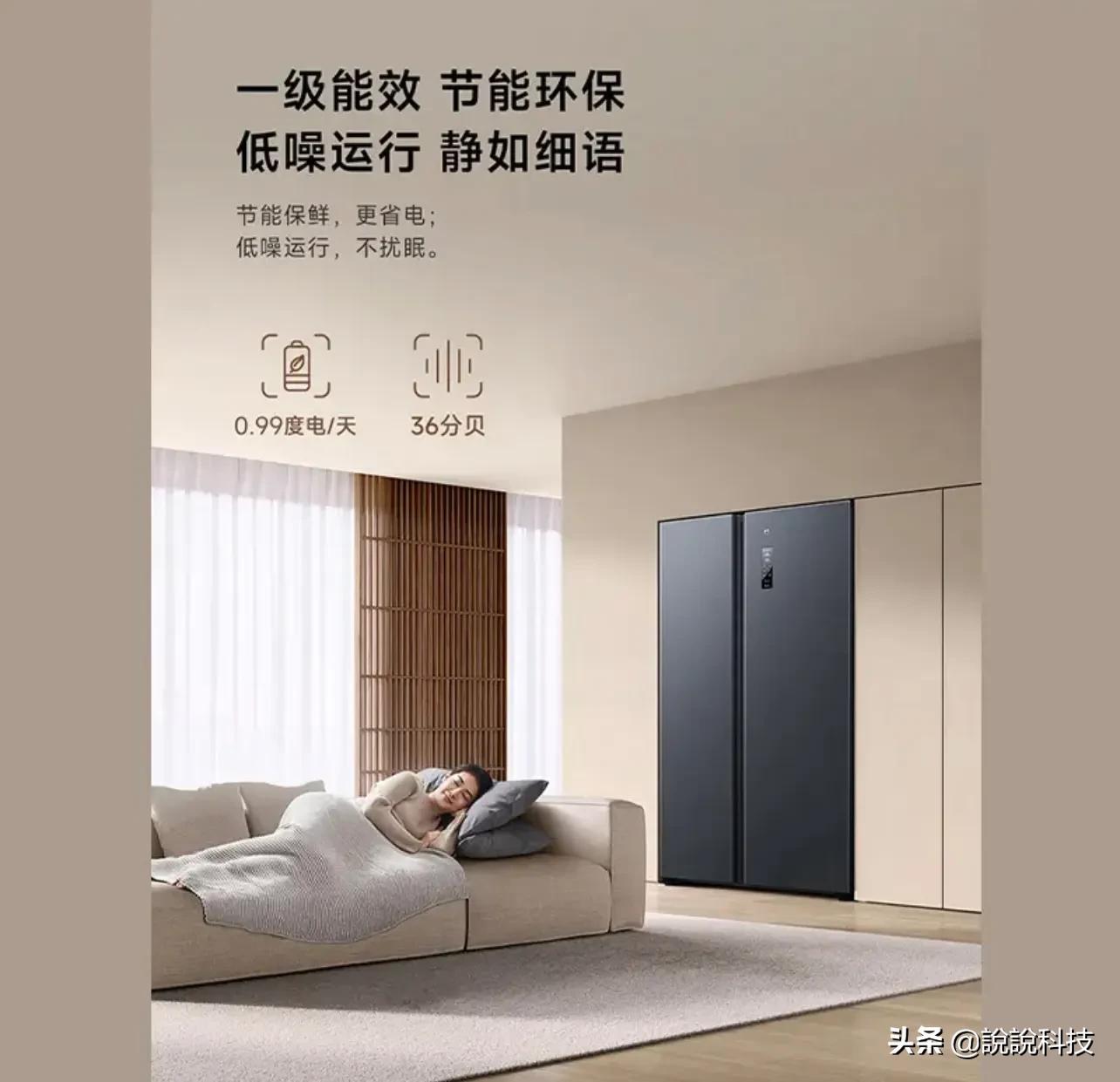 小米冰箱才是黑马？610L大容量只要2000多，颜值出众功能强悍