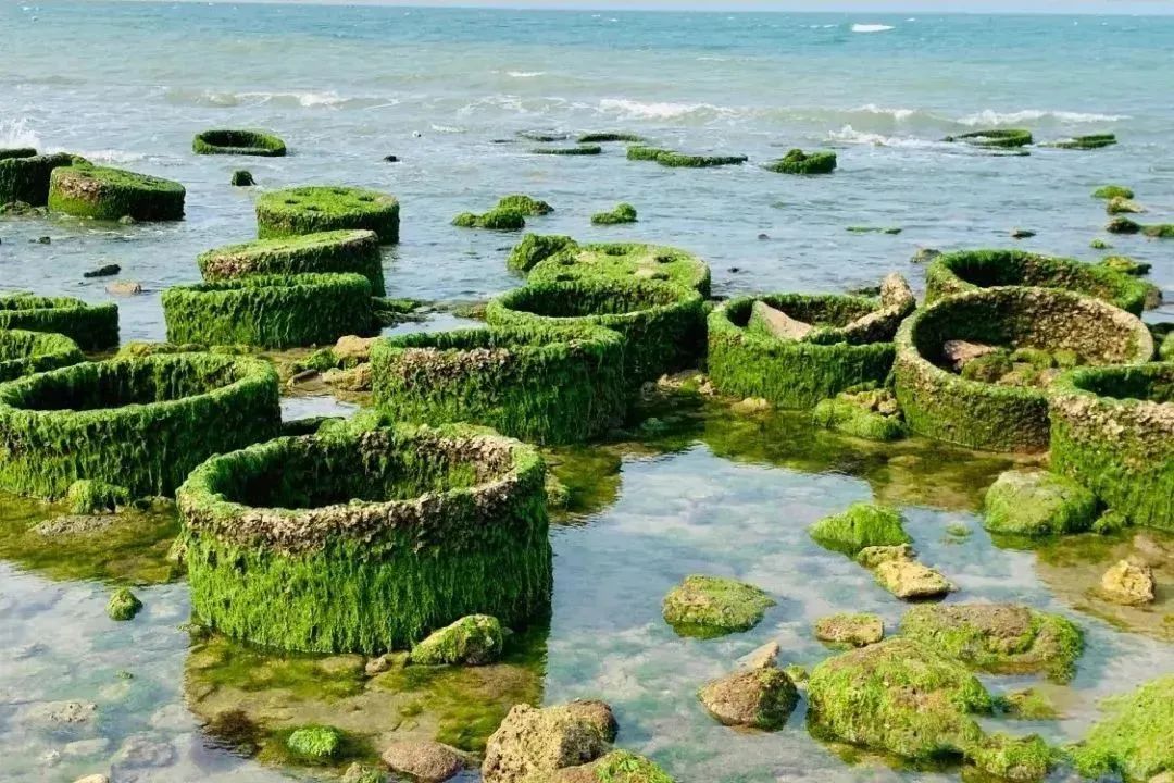 海南最后一片净土！这座无人打扰的海滨慢城，物价低到感人