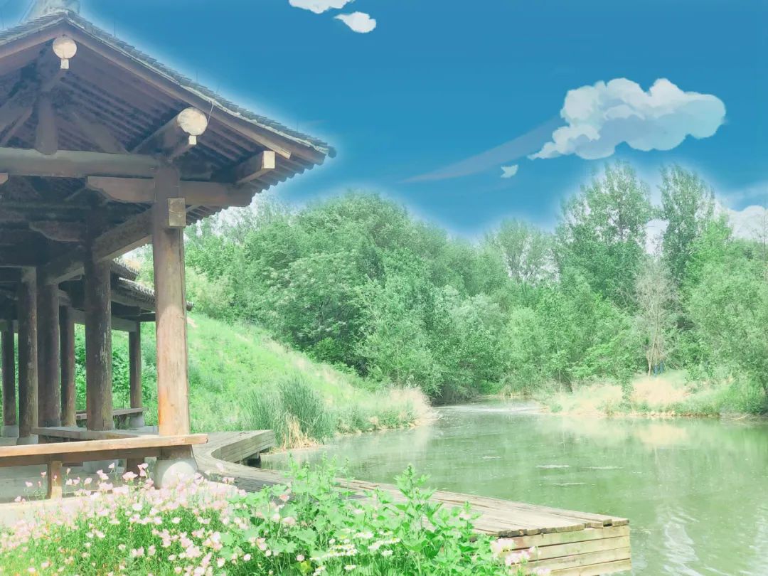 河南旅游：夏天，一起发现龙门湿地之美
