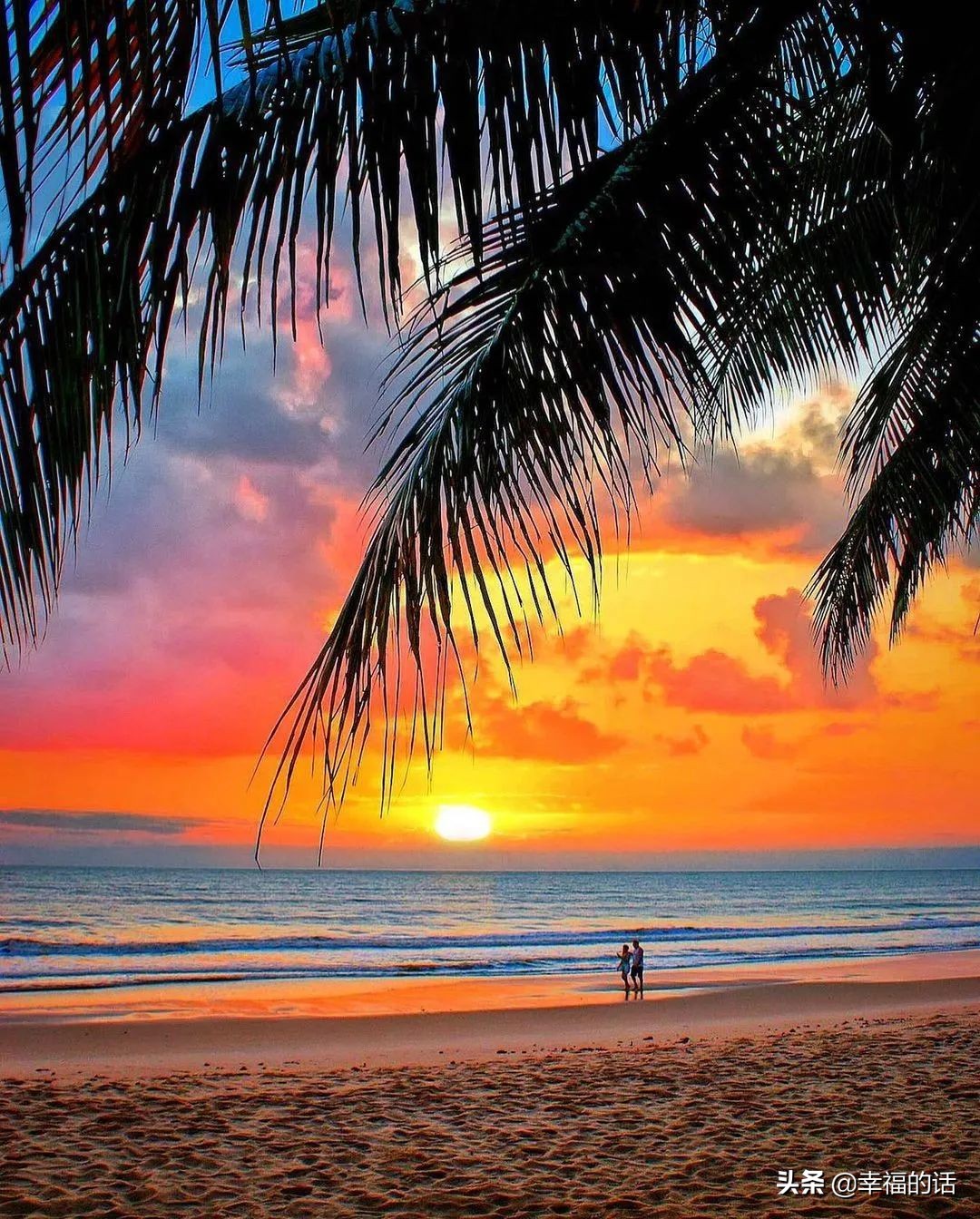 椰风海滩,无限风光