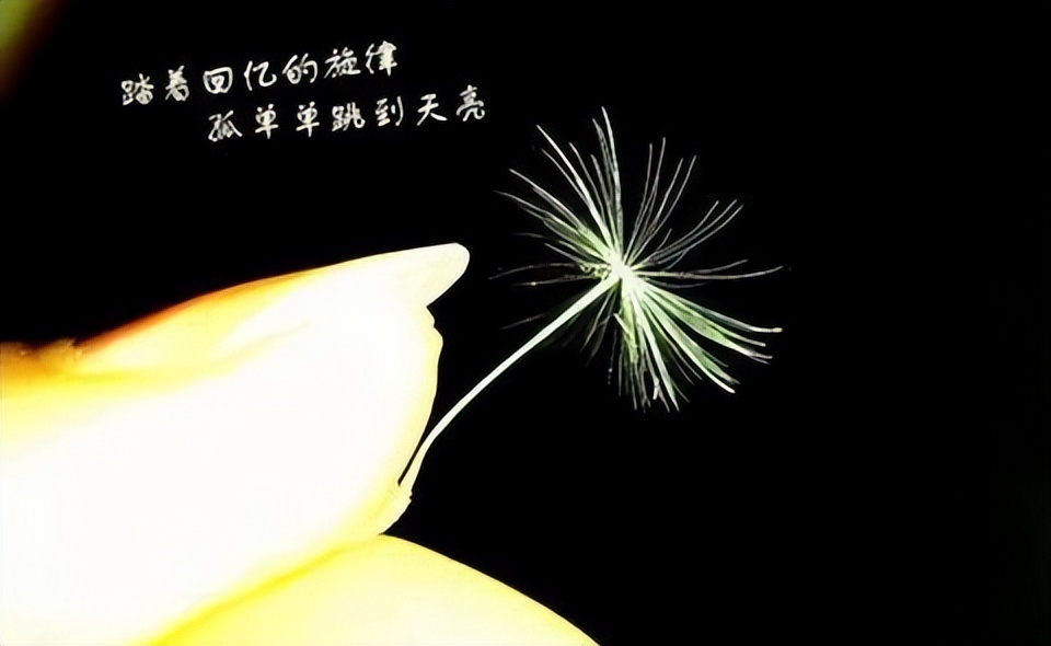 怀念已故亲人的句子 经典图片(怀念已故亲人的句子经典)