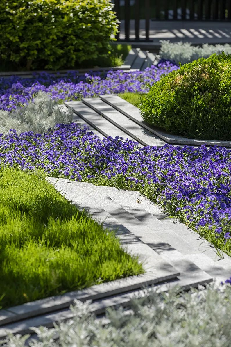 用心的植物搭配，超级美