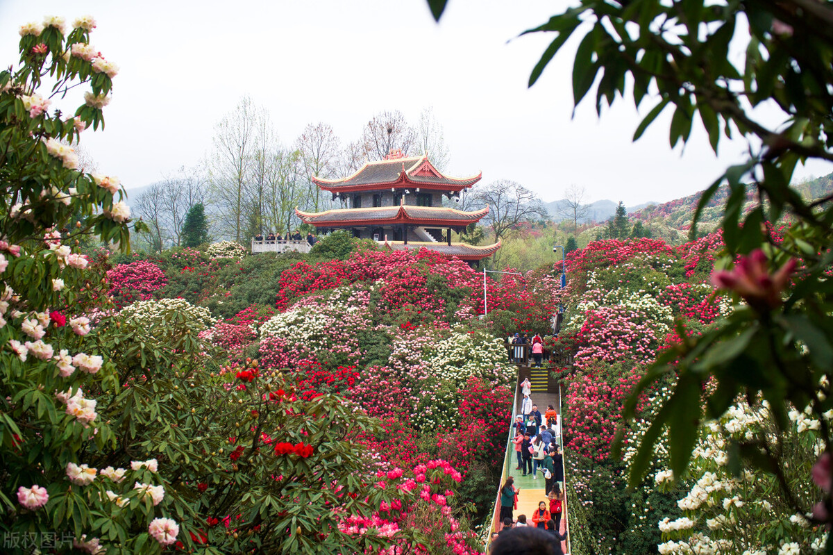 十月旅游国内最佳去处（10月国内旅游最佳去处）-第11张图片-巴山号