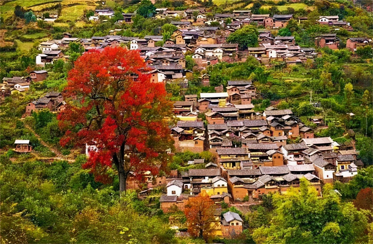 淡季的大理，实在是太治愈了