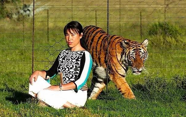 华南虎纪录片(20年前，中国将2只华南虎送到南非草原放养，后来怎样了？)