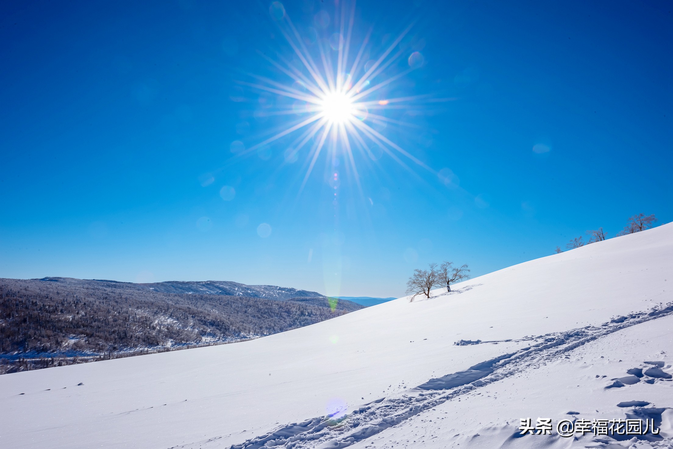 赏冰、玩雪、看美景，找回儿时过年的味道，就在非常冰雪黑龙江