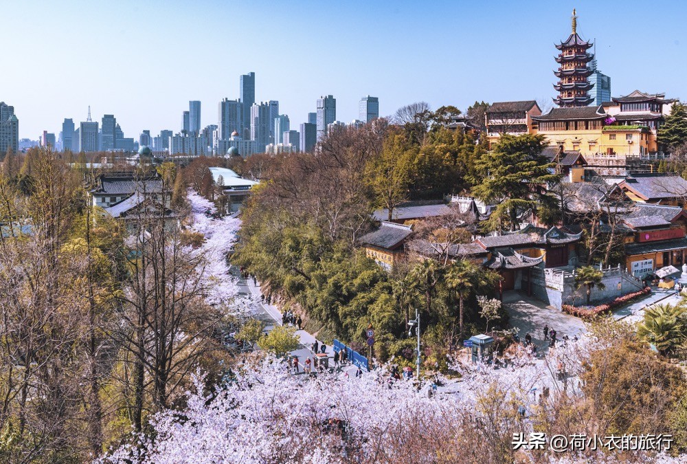 南京好玩的地方（南京好玩的地方有哪些地方免费）-第6张图片-昕阳网