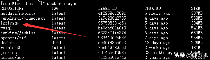 Docker下部署influxdb、Grafana及运行Jmeter