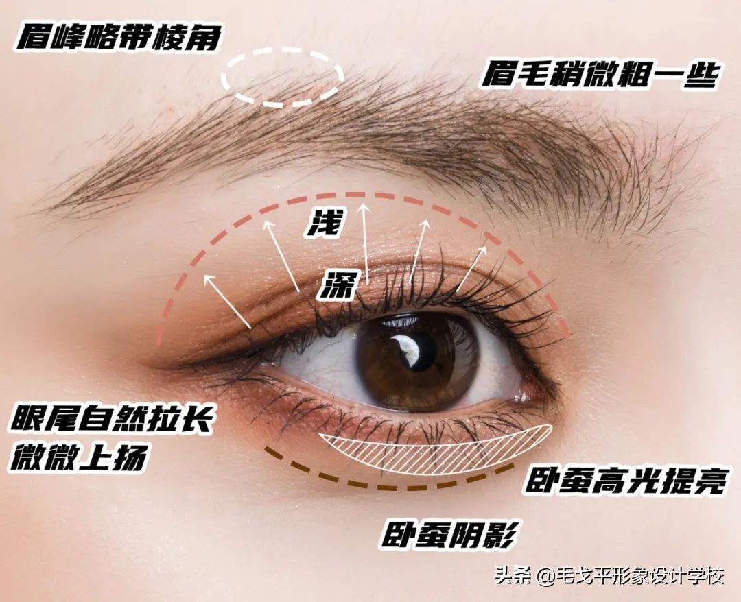 初学者画眼妆的步骤教程，眼线怎么画先后顺序