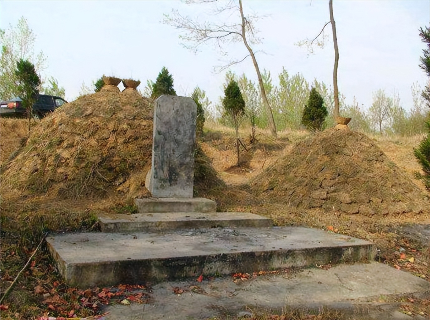 坟地栽什么树人财两旺 坟墓风水口诀大全-丹霞百科