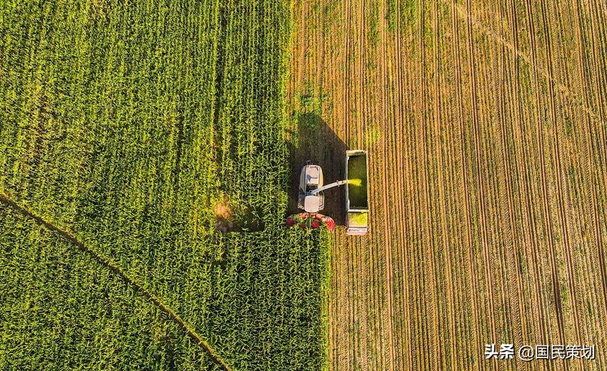 1650亿乡村振兴补助资金，优先支持“联农带农富农”项目？咋争取