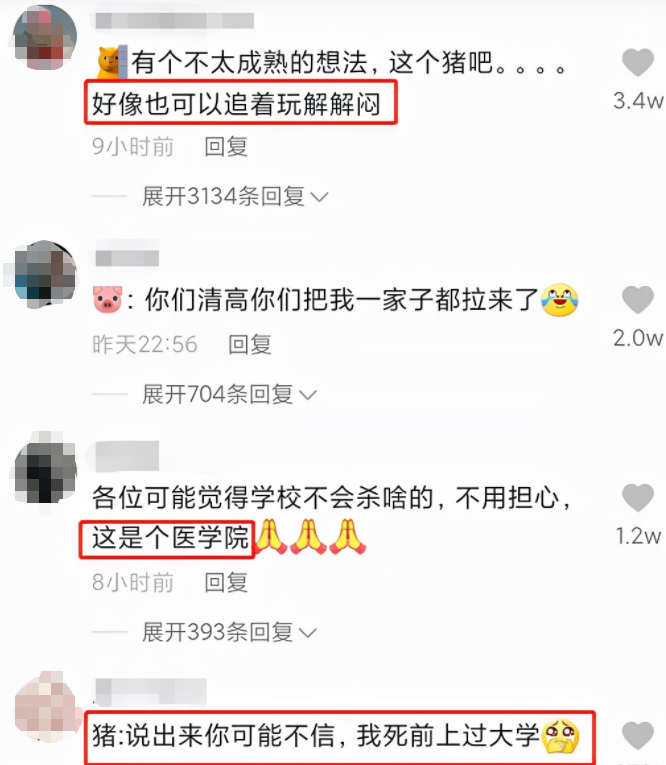 吉林一高校被封，校长为学生购买10多头活猪，评论区叫人笑不活了