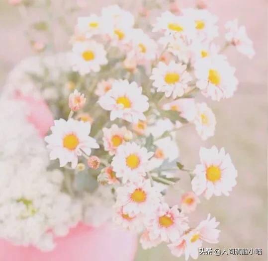 不合群的你真的很酷——写给大学喜欢独来独往的人