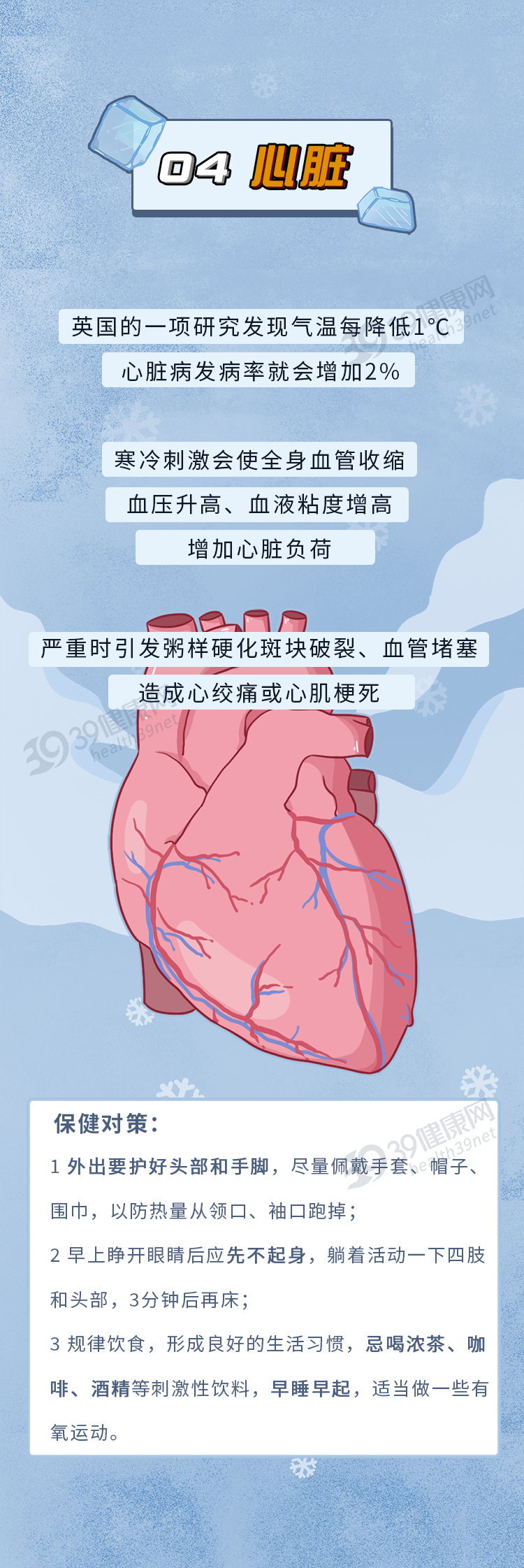 冬日轻进补，健康巧养生，多吃7种平价养生食材，祛湿健脾好过冬